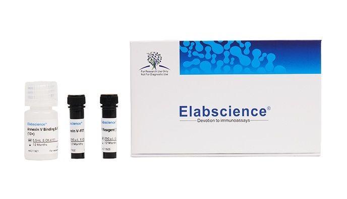 Elabscience 黄色固定化细胞活力检测试剂盒，精准区分活死细胞群