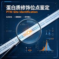蛋白质修饰位点鉴定 质谱/蛋白质组学