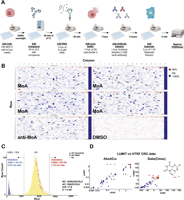 BMG LABTECH多功能酶标仪文献分享,Promega 和Novartis 科研团队发表在SLAS Technology 上 “Miniaturization of a Lumit p-ERK immunoassay for cell-based high-throughput screening of a chemogenetic small-molecule library“报告