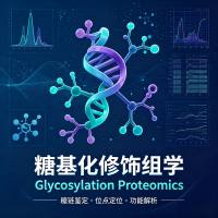糖基化修饰组学 蛋白质修饰/蛋白质组学
