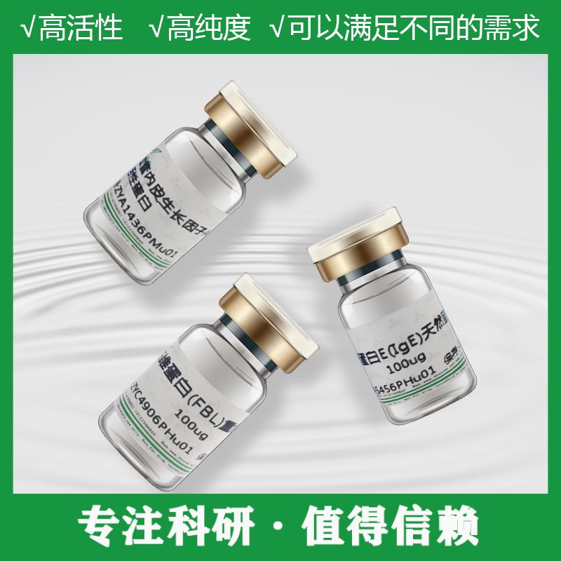 血管内皮生长因子165(VEGF165)重组蛋白产品图