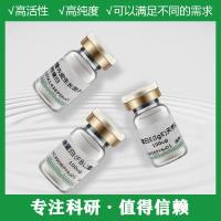 血管内皮生长因子165(VEGF165)重组蛋白