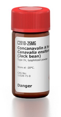 伴刀豆球蛋白A 来源于洋刀豆 (刀豆) Type IV, lyophilized powder