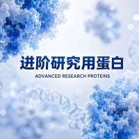 Recombinant VZV/HHV3 gE/ORF68 Protein, 1-538aa, His-tag