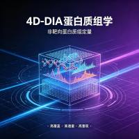 4D-DIA蛋白质组学 