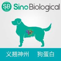 重组狗CTLA-4 / CD152蛋白(ECD, His标签)