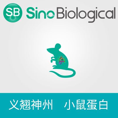 重组小鼠Growth Hormone Receptor / GHR蛋白(His标签), 生物素标记