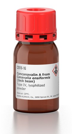伴刀豆球蛋白A 来源于洋刀豆 (刀豆) Type IV, lyophilized powder