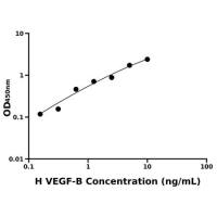 人血管内皮生长因子B(VEGF-B)ELISA试剂盒