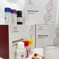 猪(Porcine)神经肽Y受体Y2(NPYR2)ELISA检测试剂盒