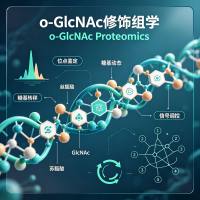 O-GlcNAc修饰组学 蛋白质修饰/糖基化/蛋白质组学