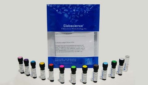 Elabscience 开学狂欢大促来啦！磁珠分选试剂盒65折，叠加磁力架买赠；流式辅助试剂同享65折；ELISA及代谢检测盒买二送一