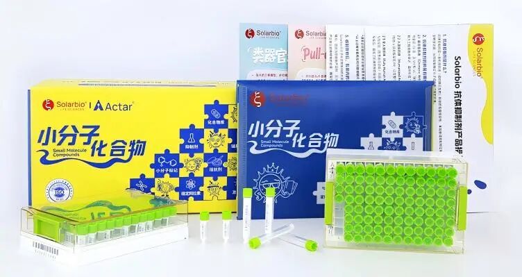 新闻图片6