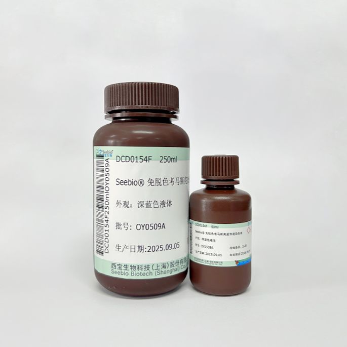 Seebio®免脱色考马斯亮蓝快速染色液