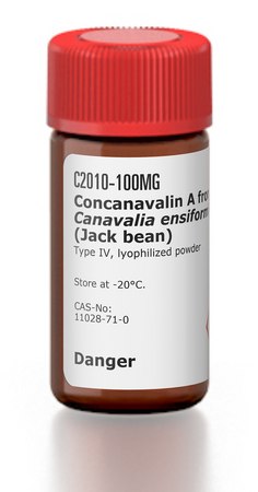 伴刀豆球蛋白A 来源于洋刀豆 (刀豆) Type IV, lyophilized powder