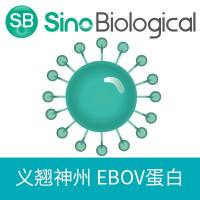 重组EBOV Soluble Glycoprotein蛋白(Dimer, His标签), 41239-V07H