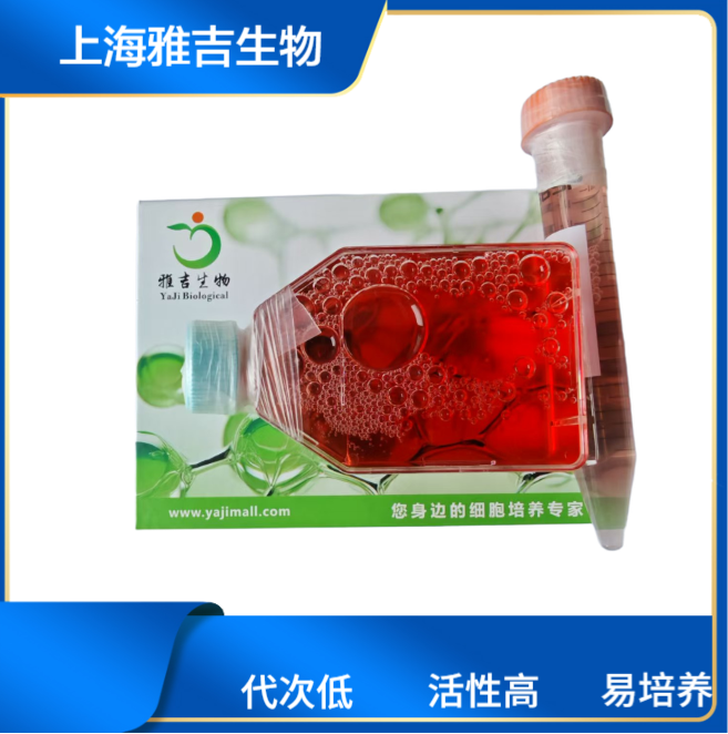 产品细节图片1