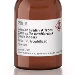 Sigma-Aldrich货号C2010伴刀豆球蛋白A来源于洋刀豆(刀豆)[别名:刀豆素A]Concanavalin A(Con A)上海睿安生物Merck-Sigma-Roche-Millipore官方正式授权代理商19121878899产品图