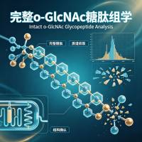完整O-GalNAc糖肽组学 蛋白质修饰/糖基化/蛋白质组学
