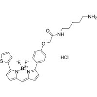 BODIPY TR尸胺 ，217190-24-4，BioReagent,用于显微镜,生物染色剂,适用于荧光分析,≥99%，阿拉丁
