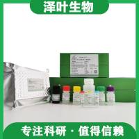 Human Cyclic Adenosine Monophosphate (cAMP) ELISA Kit