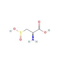 L-半胱氨酸亚磺酸,1115-65-7,Moligand™, ≥98%,阿拉丁
