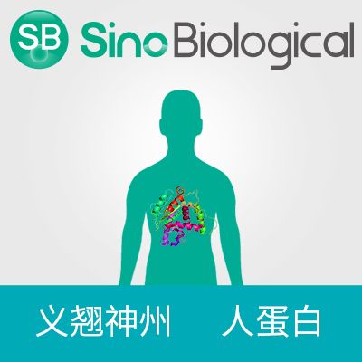 重组Tau蛋白, p-Tau217
