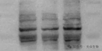 新闻图片14