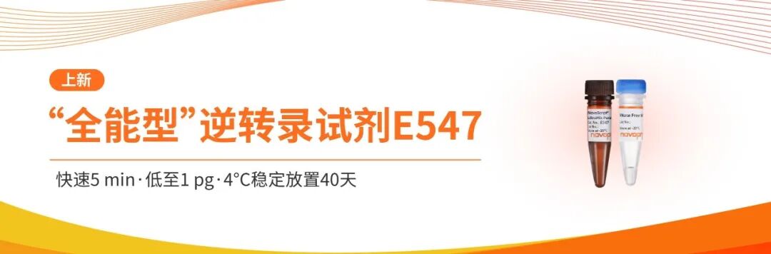 上新︱快至5 min，模板低至1 pg，4℃稳40天，“全能型”逆转录试剂