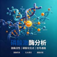 磷酸激酶分析