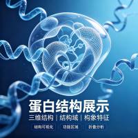 蛋白结构展示