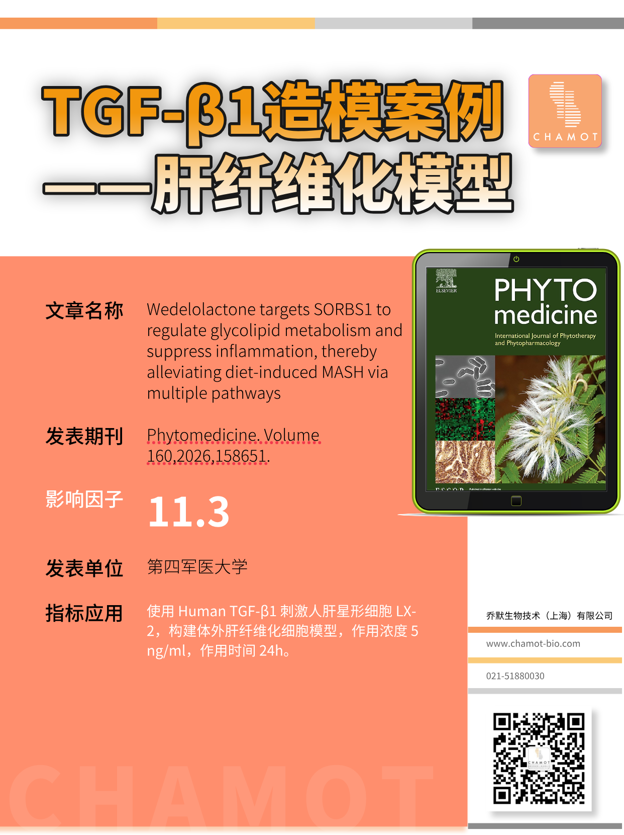 乔默生物 human TGF-β1用于肝纤维化造模实例分享~