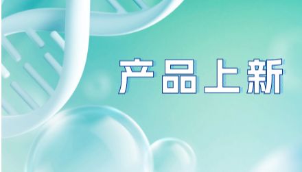 抗小鼠 CD16/32 抗体 | 体内级肿瘤免疫研究非特异性结合阻断工具