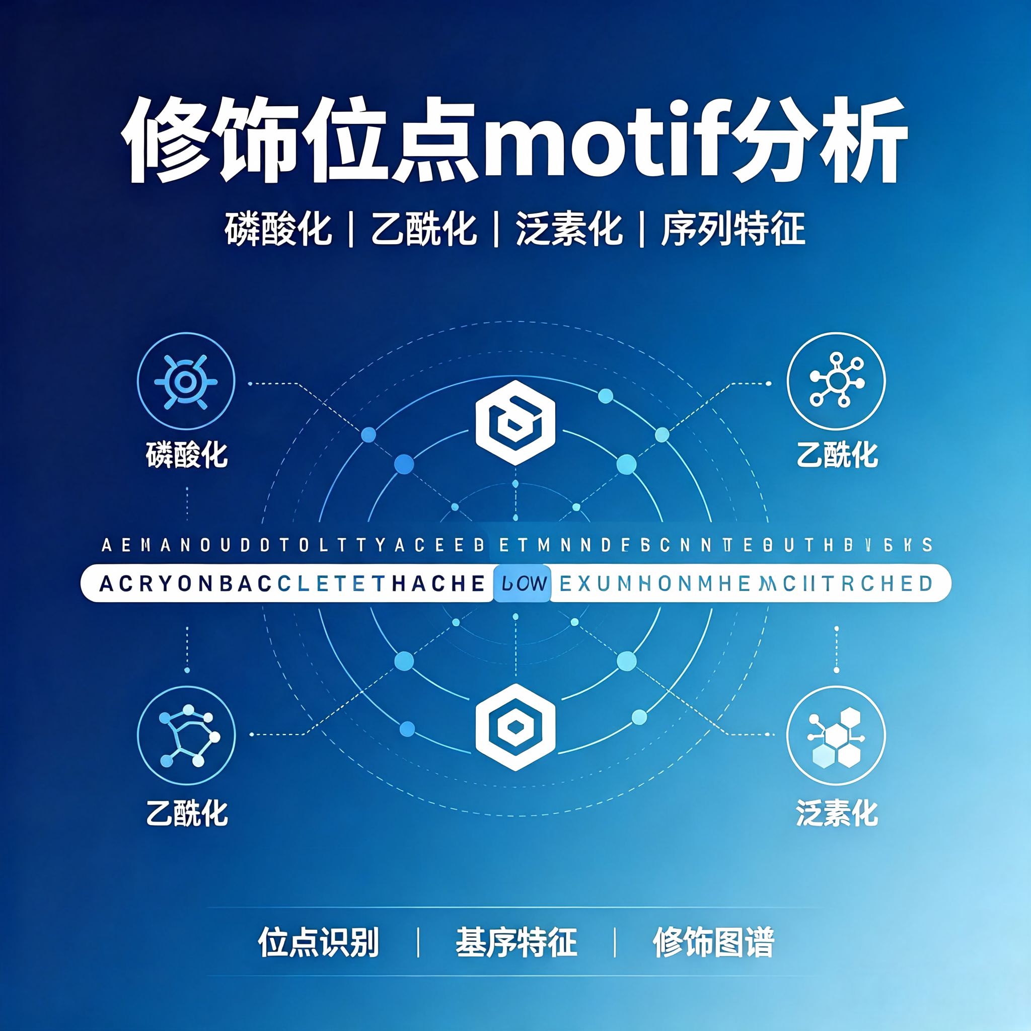修饰位点motif分析产品图