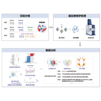 谱度众合:病毒宿主互作蛋白质组学解决方案