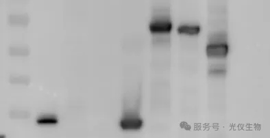新闻图片12