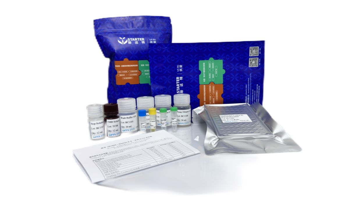 新品发布｜斯达特生物猴 Th1/Th2/Inflammation 7-Plex流式多因子检测试剂盒，精准解析免疫平衡