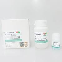 BCA 蛋白定量试剂盒
