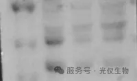 新闻图片22