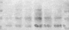 新闻图片6
