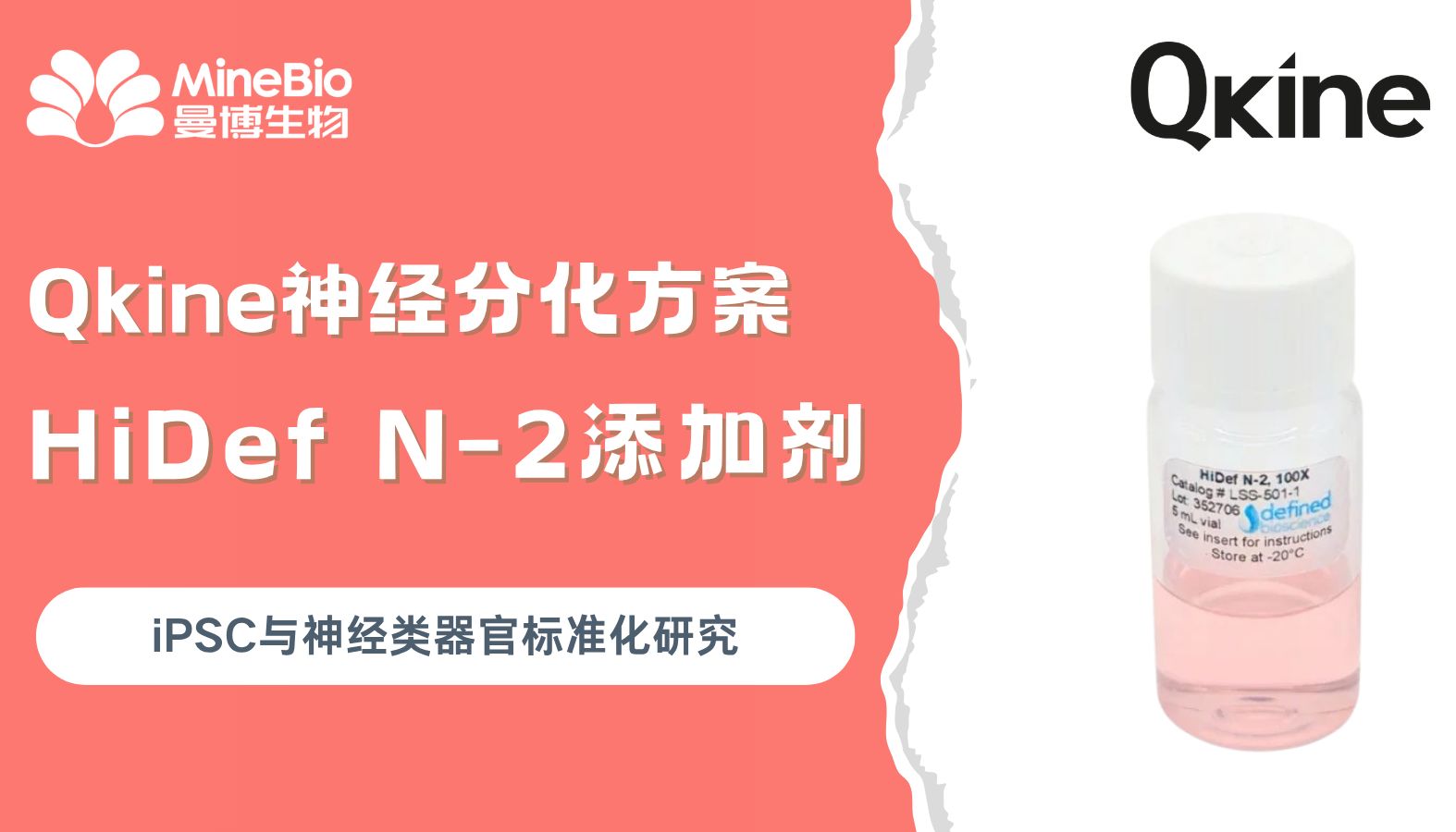 为什么同样的神经分化方案，有的实验室一次成功，有的却总在重复？
