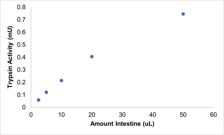 Trypsin Activity Assay Kit sufficient for 100 colorimetric tests