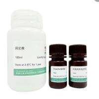 支原体染色检测试剂盒