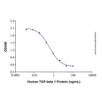 Recombinant Human TGF-beta 1 Protein,无动物源,无载体,生物活性,ActiBioPure™,高性能,His标签,≥95%(SDS-PAGE),阿拉丁