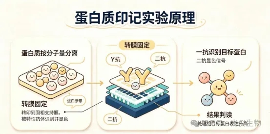 新闻图片8
