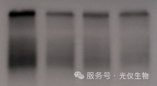 新闻图片9