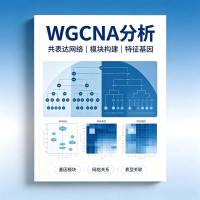 WGCNA分析
