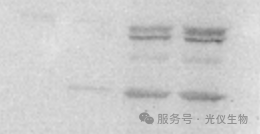 新闻图片21