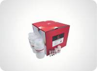 YALEPIC® 磁珠法游离DNA大量提取试剂盒(cfDNA 提取 1-5ml大量)