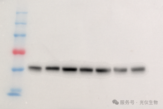 新闻图片3
